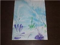 41ec4d54-Picture 002.jpg
